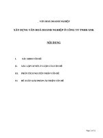 XÂY DỰNG văn HOÁ DOANH NGHIỆP ở CÔNG TY TNHH ANK 