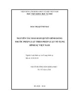 Nguyên tắc bảo đảm quyền bình đẳng trước pháp luật trong tố tụng hình sự việt nam 