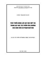 Phát triển năng lực dạy học hợp tác trong dạy học tác phẩm văn chương cho sinh viên sư phạm ngữ văn