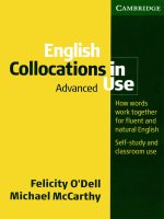 English Collocations in Use (advanced)