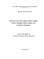 LUẬN VĂN KINH TẾ TẬP THỂ TRONG PHÁT TRIỂN NÔNG NGHIỆP CÔNG NGHỆ CAO  Ở TỈNH LÂM ĐỒNG