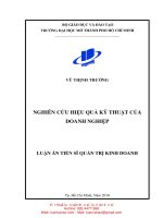 LA08 065 nghiên cứu hiệu quả kỹ thuật của doanh nghiệp 