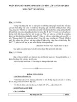 [123doc] - de-thi-hsg-cap-tinh-mon-ngu-van-lop-11-tinh-quang-binh