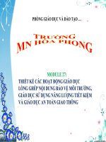 Module 27: Thiết kế ácc hoạt động giáo dục lồng ghép nội dung bảo vệ môi trường, giáo dục sử dụng năng lượng tiết kiệm và giáo dục an toàn giao thông
