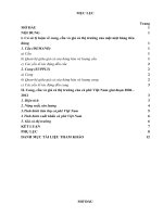 Hãy phân tích cung, cầu và giá cả thị trường của một mặt hàng tiêu dùng trong thực tế trong một khoảng thời gian nào đó 