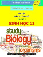 Đề ôn thi HK1 môn Sinh học 11