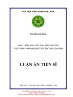 LA16 021 phát triển sản xuất rau theo hướng thực hành nông nghiệp tốt tại tỉnh hòa bình 