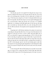 Thực trạng nhiễm HPV (human papilloma virus) ở cổ tử cung phụ nữ tuổi sinh đẻ tại phường tự an, thành phố buôn ma thuột, tỉnh đắk lắk 