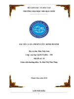 TIỂU LUẬN PHÁP LUẬT TRONG KINH DOANH