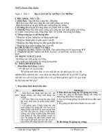 bai 3, 4 sản xuất giống cây trồng