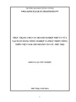 THỰC TRẠNG CHO VAY DOANH NGHIỆP NHỎ VÀ VỪA TẠI NGÂN HÀNG NÔNG NGHIỆP VÀ PHÁT TRIỂN NÔNG THÔN VIỆT NAM CHI NHÁNH VÂN CƠ  PHÚ THỌ