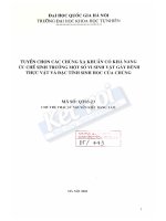 Tuyển chọn các chủng xạ khuẩn có khả năng ức chế sinh trưởng một số vi sinh vật gây bệnh thực vật và đặc tính sinh học của chúng  