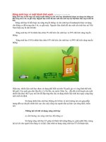 Xăng sinh học vì một hành tinh xanh