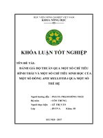 Đánh giá độ thuần qua một số chỉ tiêu hình thái và một số chỉ tiêu sinh học của một số dòng apis mellifera qua một số thế hệ