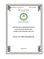 Giải pháp quản trị rủi ro tín dụng tại ngân hàng thương mại cổ phần công thương việt nam