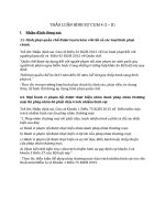 THẢO LUẬN HÌNH SỰ 4