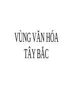 Vùng văn hóa tây bắc