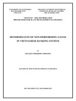 Determinants of non performing loans in vietnamese banking system 