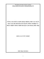 Tóm tắt Khóa luận TN: NÂNG CAO CHẤT LƯỢNG HOẠT ĐỘNG CHO VAY NGẮN HẠN TẠI CHI NHÁNH NGÂN HÀNG NÔNG NGHIỆP VÀ PHÁT TRIỂN NÔNG THÔN HUYỆN LÂM THAO, PHÚ THỌ