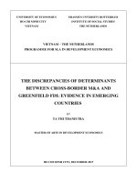 The discrepancies of determinants between cross border ma and greenfield FDI evidence in emerging countries 