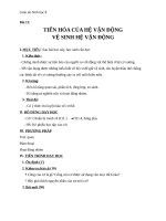 Giáo án Sinh học 8 bài 11: Tiến hóa của hệ vận động. Vệ sinh hệ vận động