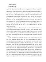 tiểu luận toán tính nhanh và tính nhẩm cho học sinh giỏi lớp 4,5