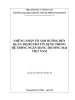 Những nhân tố ảnh hưởng đến quản lý rủi ro tín dụng trong hệ thống ngân hàng thương mại việt nam