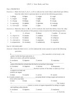 Bài tập tiếng Anh 10 thí điểm