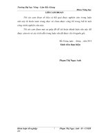 Nghiên cứu đặc điểm sinh trưởng, phát triển, năng suất và biện pháp kỹ thuật nuôi trồng nấm Hồng chi trên sản phẩm phụ của gỗ keo lai trong điều kiện của tỉnh Thanh Hóa