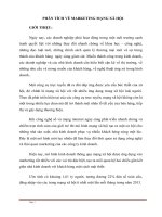 Phân tích về marketing mạng xã hội 