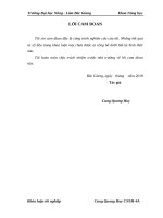 Phân lập và tuyển chọn một số chủng vi khuẩn có khả năng phân giải cellulose từ sùng đất và dạ cỏ bò