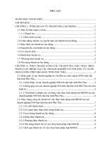 Thực trạng công tác thanh tra việc thực hiện pháp luật bảo hiểm xã hội tại các doanh nghiệp có vốn đầu tư nước ngoài (FDI) trên địa bản tỉnh phú thọ