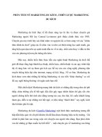 Phân tích về marketing du kích , chiến lược marketing du kích 