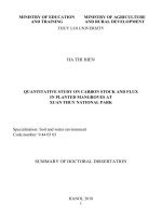 Nghiên cứu khả năng tích lũy và trao đổi carbon trong rừng ngập mặn trồng