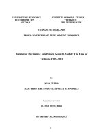 Balance of payments constrained growth model the case of vietnam, 1995   2010