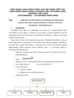 Ứng dụng giải pháp eCRM cho bộ phận tiếp thị bán hàng ngân hàng thương mại cổ phần công thương việt nam 