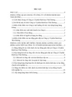 Hoàn thiện thang bảng lương cho lao động gián tiếp tại công ty cổ phần bánh kẹo thái dương