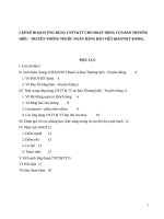 Lập kế hoạch ứng dụng CNTTTT cho hoạt động của ban thương hiệu   truyền thông thuộc ngân hàng bảo việt (BAOVIET bank)  