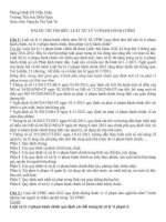 Bài dự thi tìm hiểu luật xử lý vi phạm hành chính