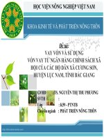VAY vốn và sử DỤNG vốn VAY từ NGÂN HÀNG CHÍNH SÁCH xã hội của các hộ dân xã CƯƠNG sơn, HUYỆN lục NAM, TỈNH bắc GIANG 