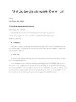 Vị trí cấu tạo của các nguyên tố nhóm oxi