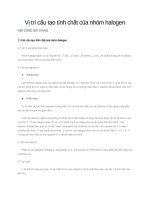 Vị trí cấu tạo tính chất của nhóm halogen