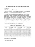 công nghệ sản xuất chuối chiên chân không 