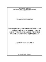 Ảnh hưởng của biến động lãi suất và tỷ giá đến tỷ suất sinh lợi và biến động tỷ suất sinh lợi cổ phiếu tại ngân hàng thương mại việt nam 