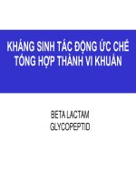 kháng sinh tác động ức chế tổng hợp thành vi khuẩn 