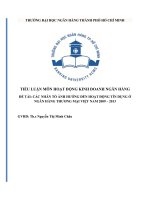CÁC NHÂN tố ẢNH HƯỞNG đến HOẠT ĐỘNG tín DỤNG ở NGÂN HÀNG THƯƠNG mại VIỆT NAM 2009 – 2013 