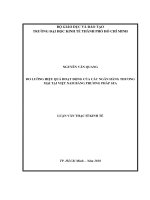 Đo lường hiệu quả hoạt động của các ngân hàng thương mại tại việt nam bằng phương pháp SFA 
