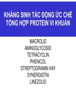 KHÁNG SINH tác ĐỘNG ức CHẾ TỔNG hợp PROTEIN VI KHUẨN 