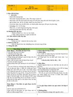 Giáo án sinh 10, soạn theo cấu trúc mới 2018 (HK2)