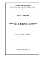 Quản trị rủi ro tín dụng tại các ngân hàng thương mại nhà nước việt nam 